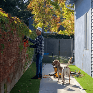 Man using power tools in the backyard with ScreenLet, alongside a playful dog 2